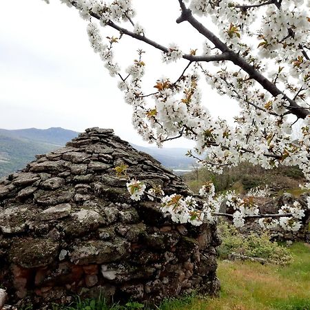 Apartamento Rural Amaluna El Torno  Exterior foto
