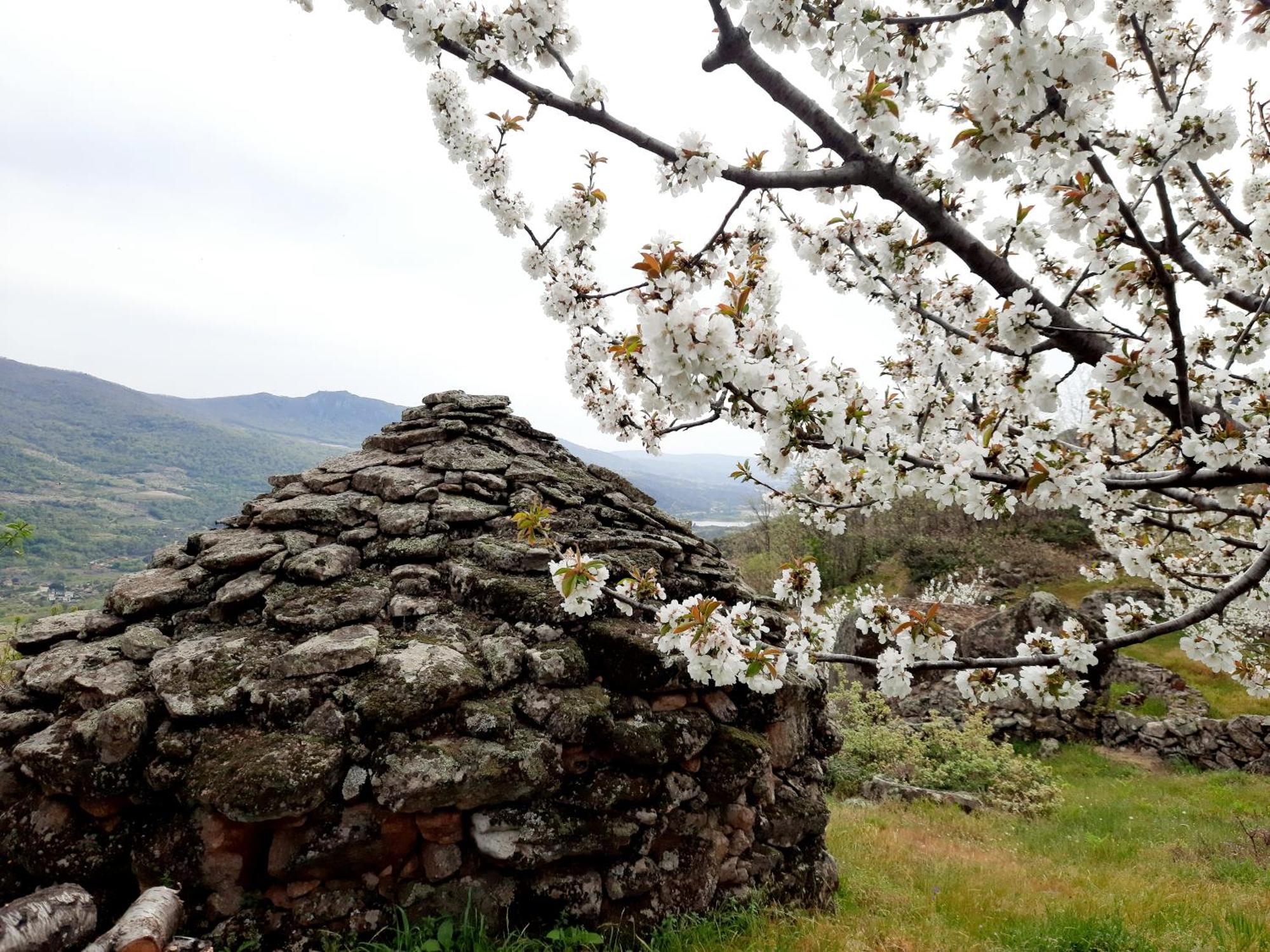 Apartamento Rural Amaluna El Torno  Exterior foto
